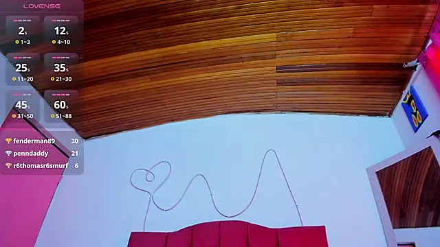 Miaroxi webcam