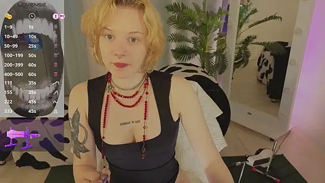 evathority webcam