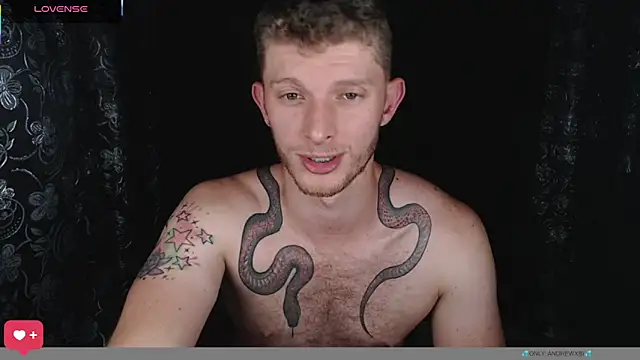 andrewxbi webcam