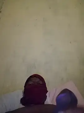 Thaps_deDick webcam