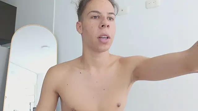 grey___27 webcam