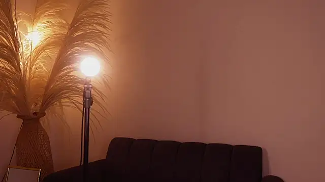 soidai_miiu webcam
