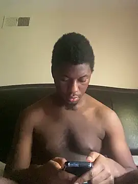 ThickDic28 webcam