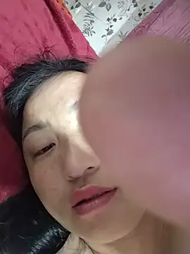 zhen-zo webcam