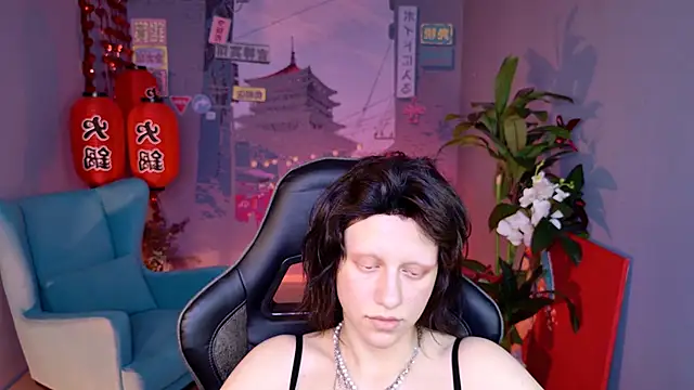 LidaDarknet webcam