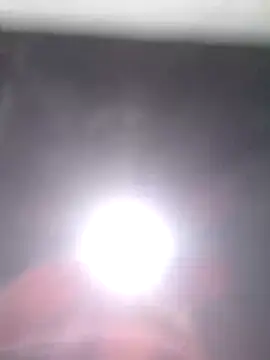 will1980 webcam