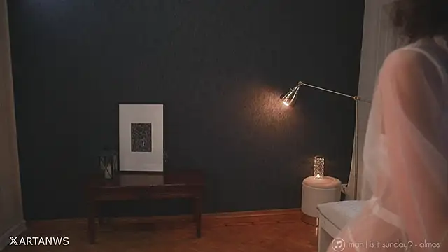 _arta_ webcam