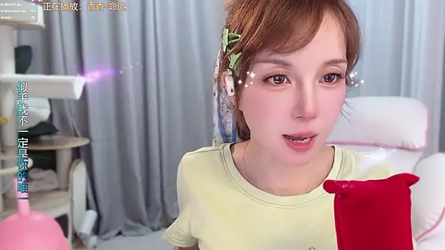 hi-AnAn webcam