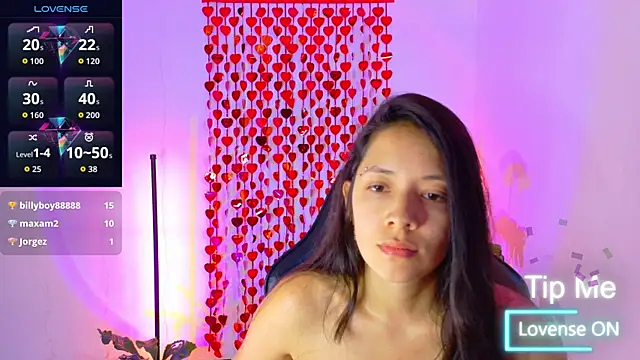 Sarasavage webcam