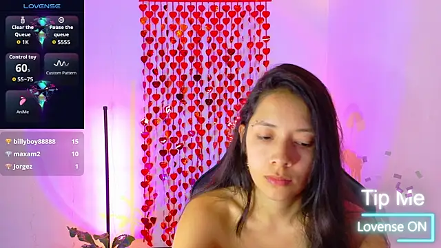 Sarasavage webcam