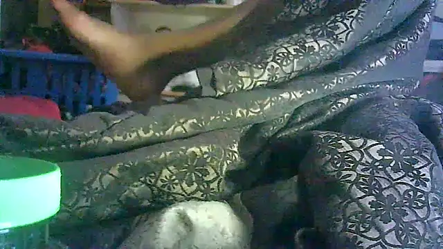 _P3RKY_IMMORTAL3_FIR3_ webcam