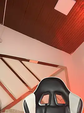 Samir_bear webcam