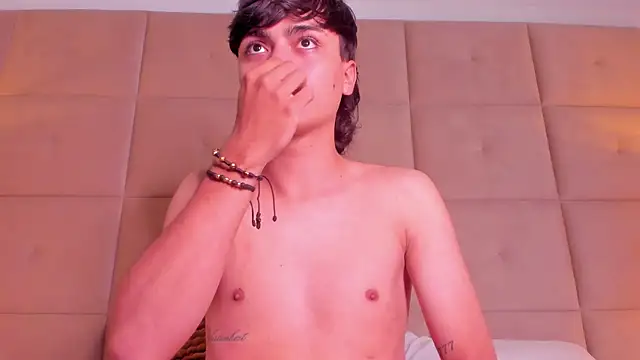 Ohricky webcam