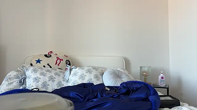 airgeadx webcam
