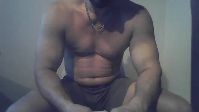 fl3xxx1 webcam