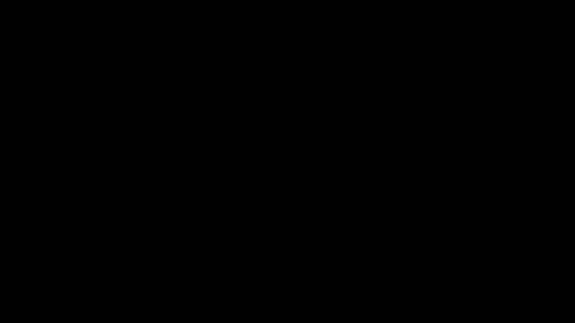 Kratos_madrid webcam