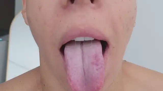 grey___27 webcam