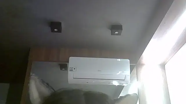 SkinnyKitten webcam