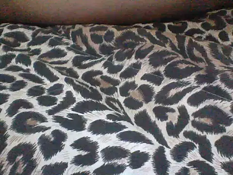 CohesiveCatching webcam