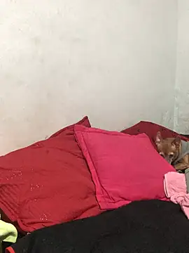 EliVanegas webcam