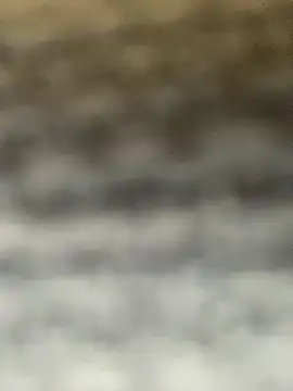 GusanoDelicioso