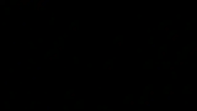 Kratos_madrid webcam