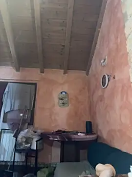 Sunbelxx webcam