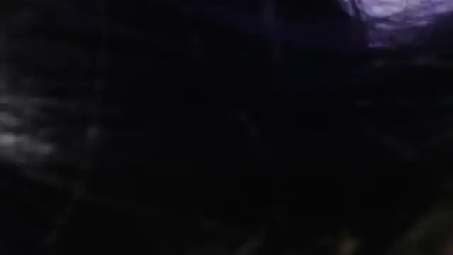 onixandghosty1 webcam