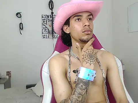 Ryder-Stone webcam