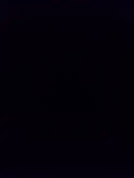 minnetird webcam