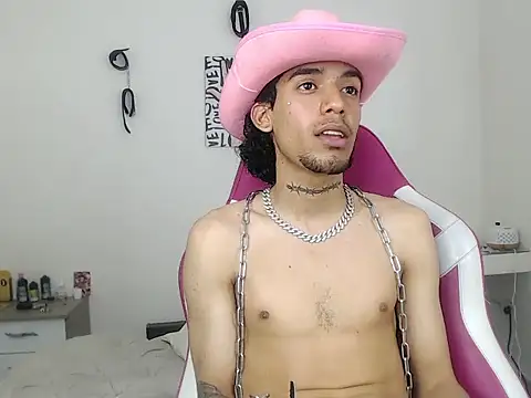 Ryder-Stone webcam
