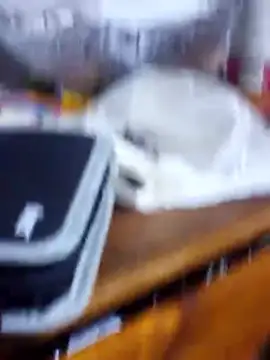 Tyyson03 webcam