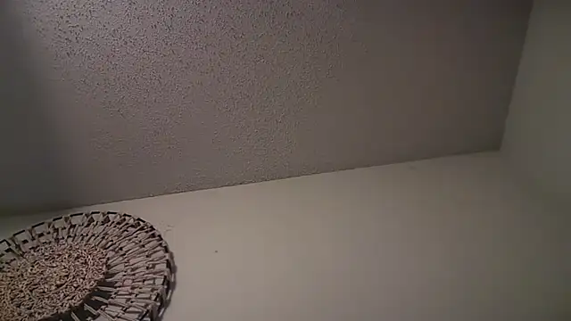 KungFuPanda001 webcam