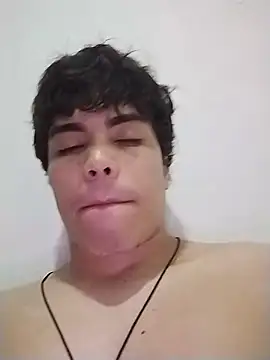 katforu webcam