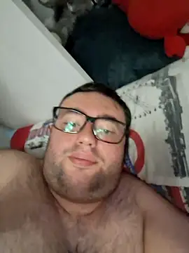 Javier_bear webcam