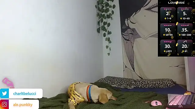 charlotbelucci_ webcam