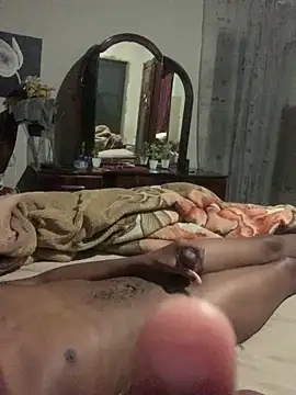 DManL webcam
