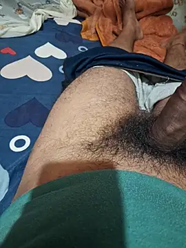 UnhopedDear webcam