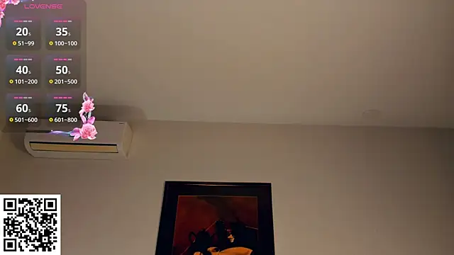 RonnieSchmertz webcam
