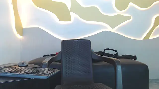 Hollmanhot webcam