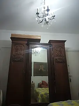 MatureElegantWidow webcam