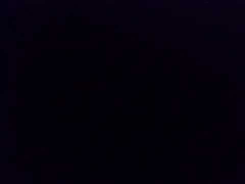 nastyP1 webcam