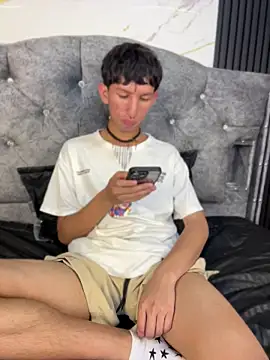 Noah-fire webcam