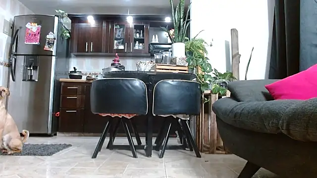 Diosasky webcam