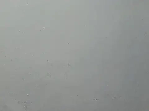 Pinnay webcam