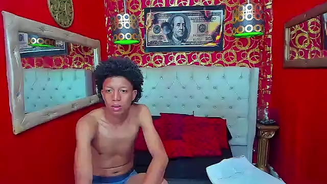 PEINBOYS webcam