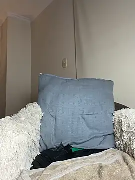 Samispank webcam