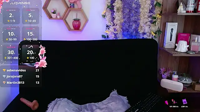 AuroraHans1 webcam