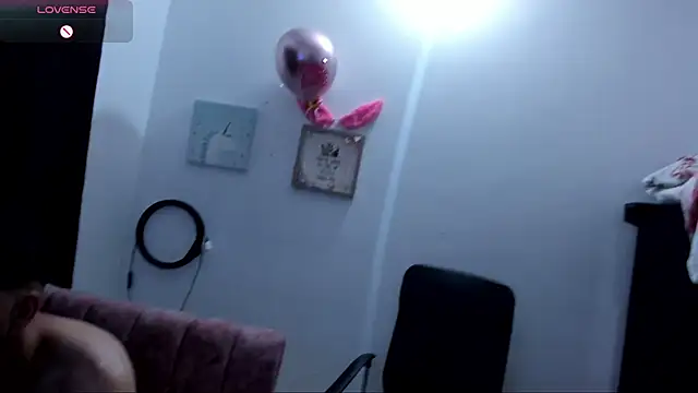 lanasin_