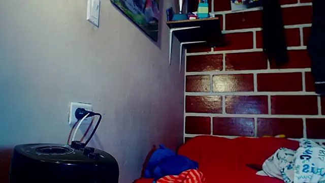 Steeve_Hard webcam